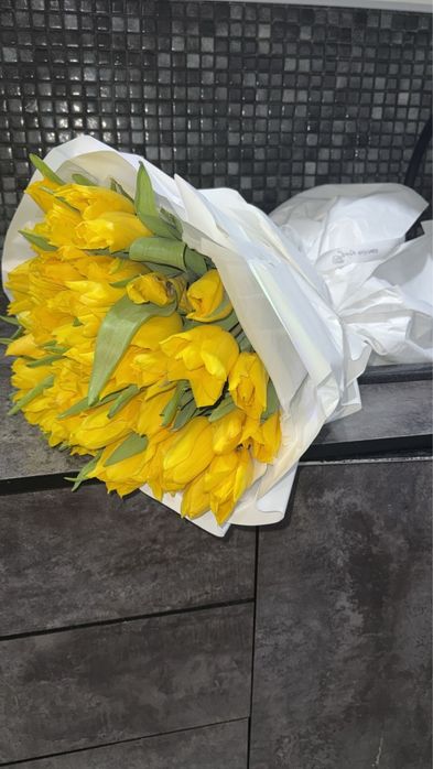 тюльпаныыы ,51шт