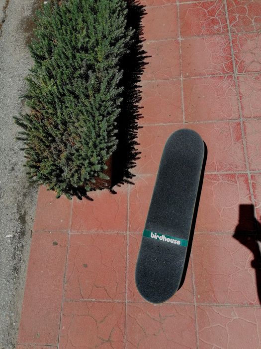Скейтборд Birdhouse Tony Hawk