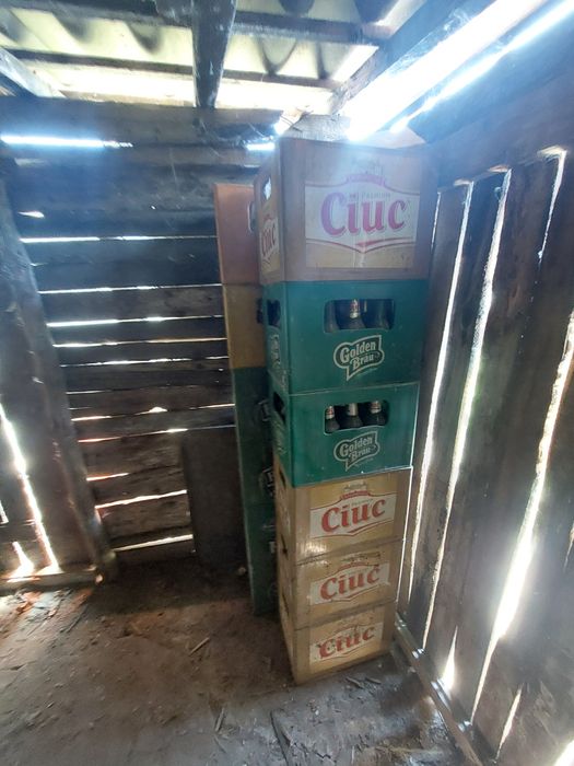 Navete de bere 15 lei/buc