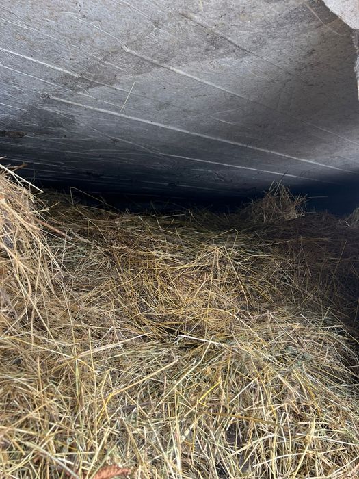 Fân amestecat cu lucernă – peste 4 tone