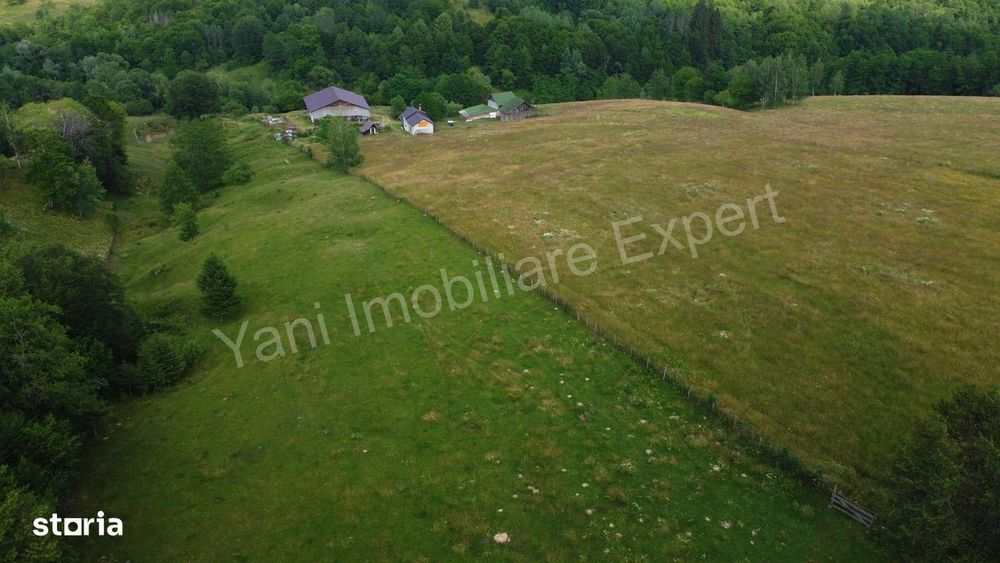 Fermă de animale + teren de vânzare în comuna Bughea de Jos, Argeș.