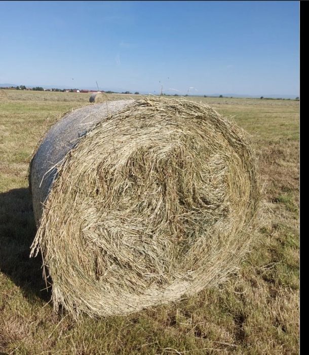 Baloți de lucernă 150x150