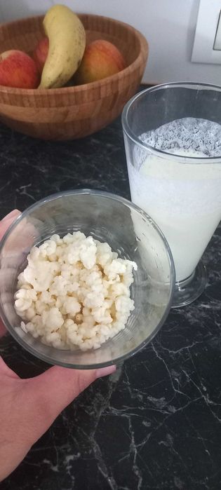 Ciupearcă pentru chefir