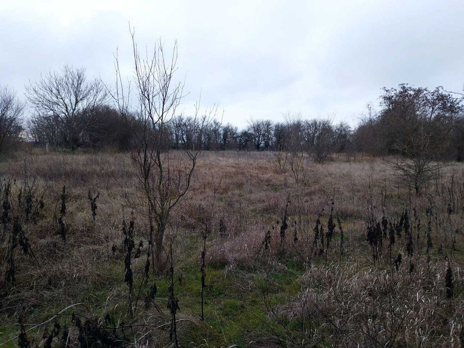 Продава се Къща в Вълчи дол - 45 кв.м за 800 €/кв.м - Снимка #9