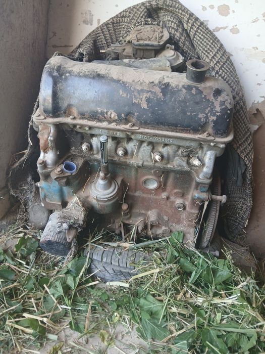 Моторло сотилоди