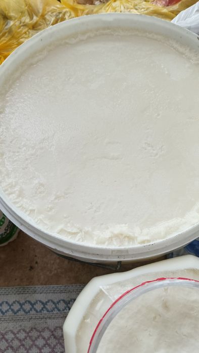 Сиырдың тоң майы сатылады