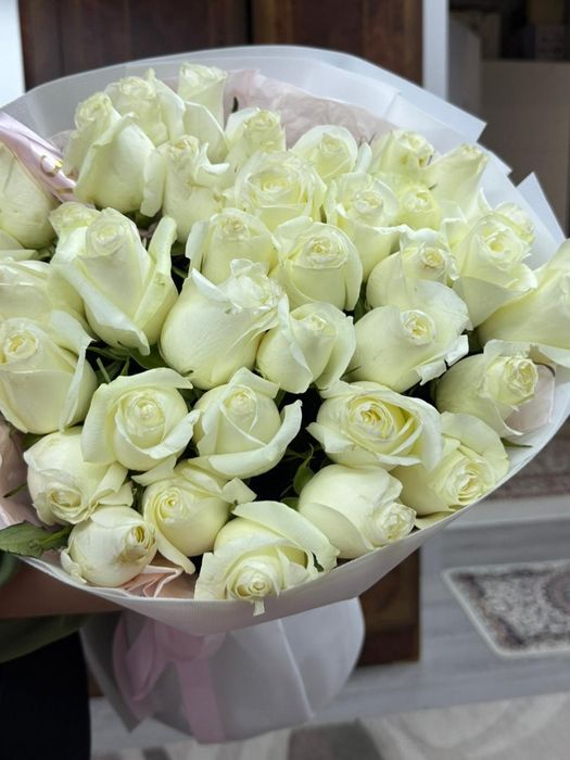 Свежые белые розы