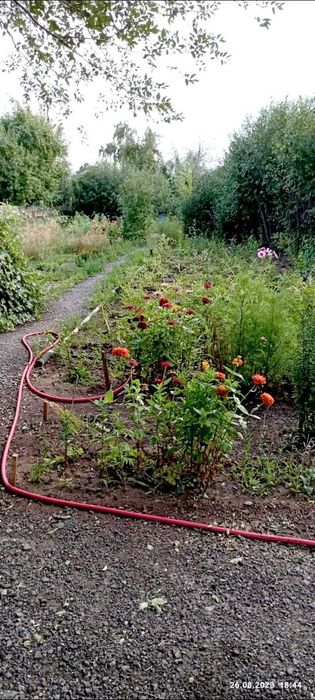 Сдам в аренду дачный участок