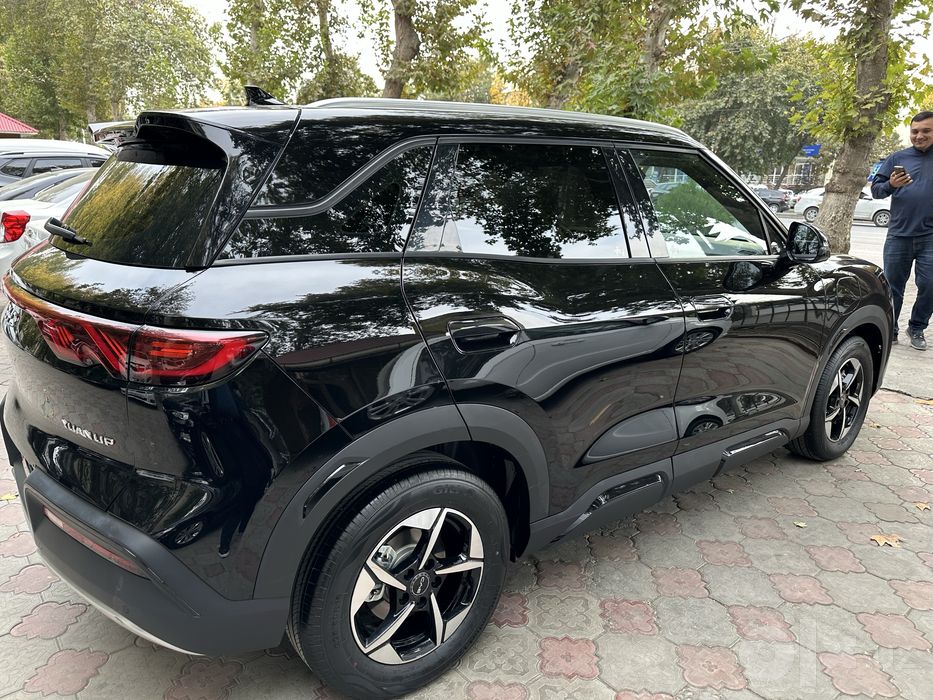 BYD Yuan Up  Tok chisti