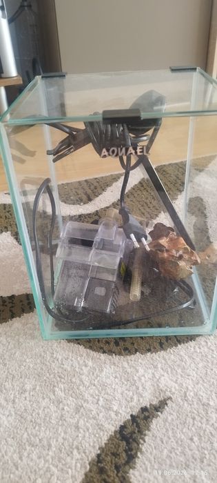 Acvarii pesti complete