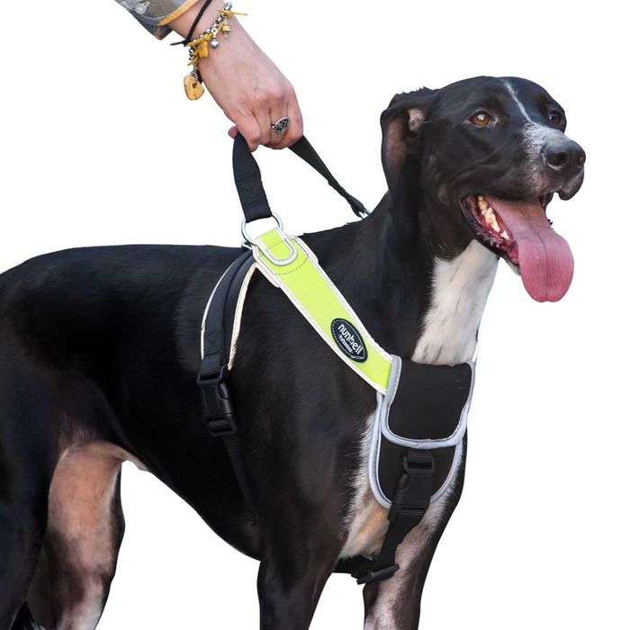 NUNBELL Светлоотразител нагръдник с ръкохватка за куче