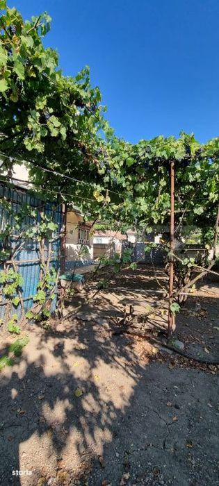 Casa cu 3 camere, anexe, curte si gradina