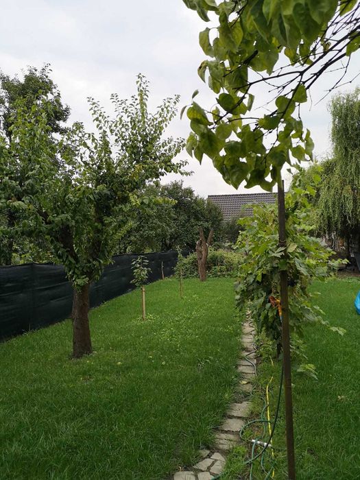 Casa de vanzare in Alesd