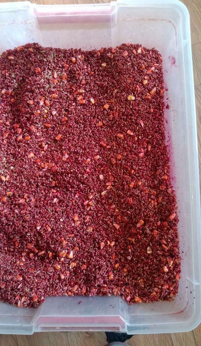 Продам зерно от мышей и крыс