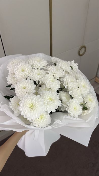 Цветы хризантема