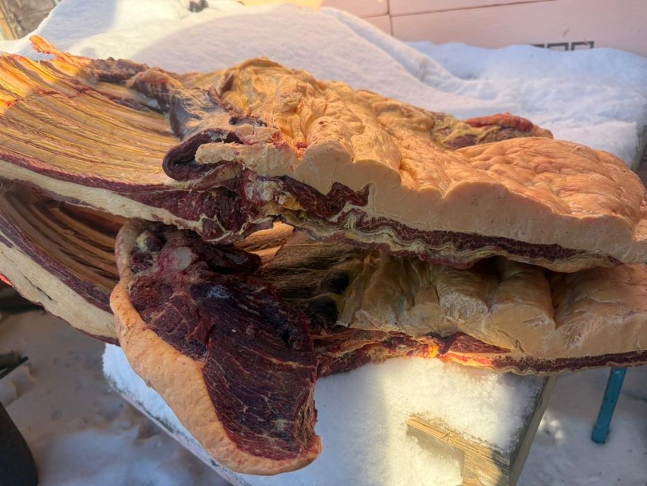 Мясо конины частями !