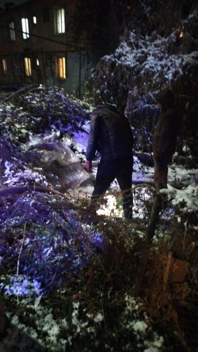 асенизатор откачка