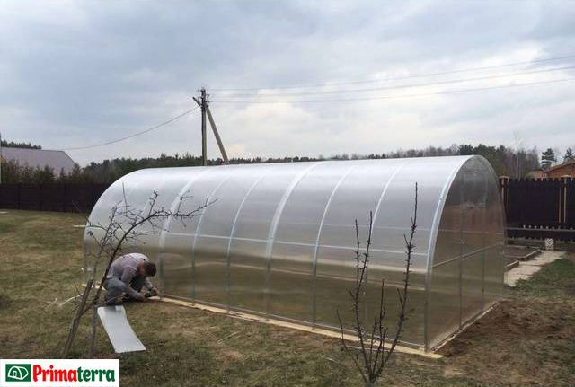 Оранжерия Primaterra Light