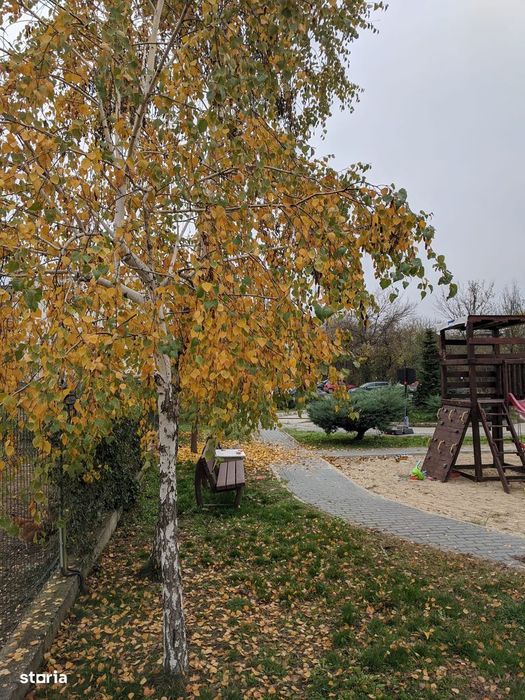 Garsonieră Spațioasă la Curte