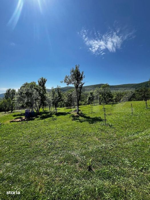 Livada in Arcalia, langa padure - 4.000 mp