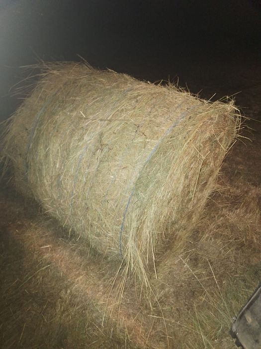 Baloti de fan 120x120