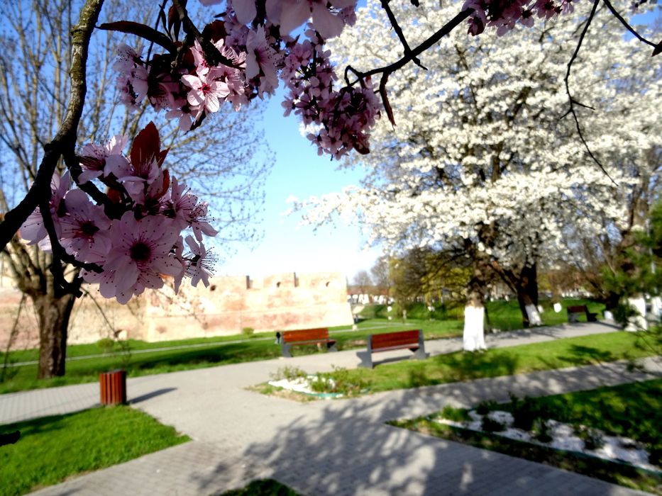 Sony Cyber shot DSC HX50V