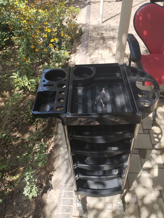 Kamot salon uchun. Камот для салона.