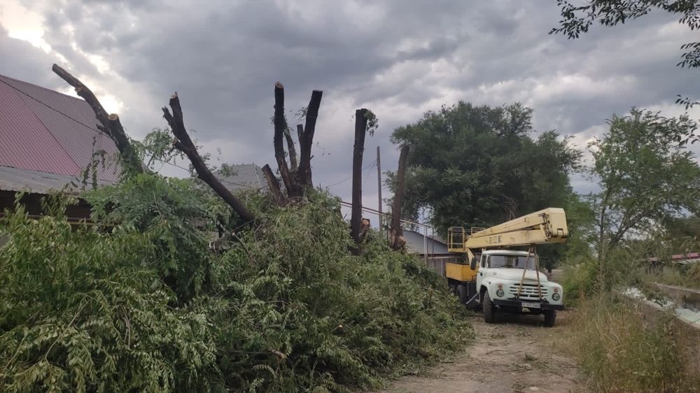 Спил деревьев любой сложности
