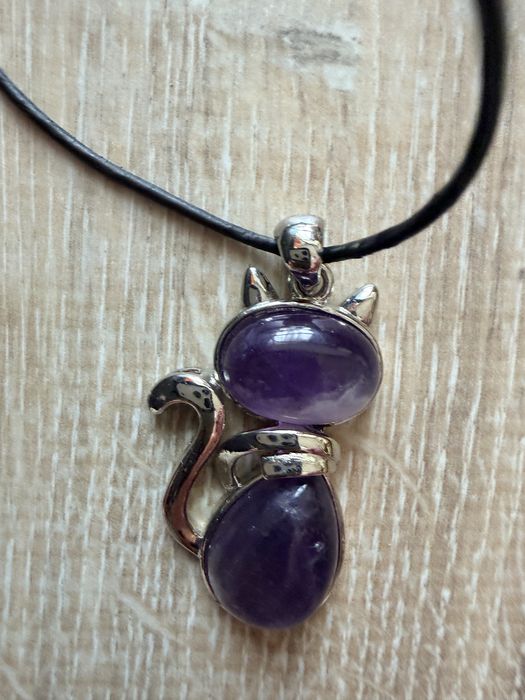 Регулиращо колие Котка