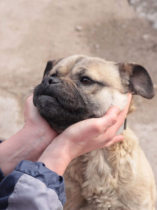 Метис Джек ищет семью!