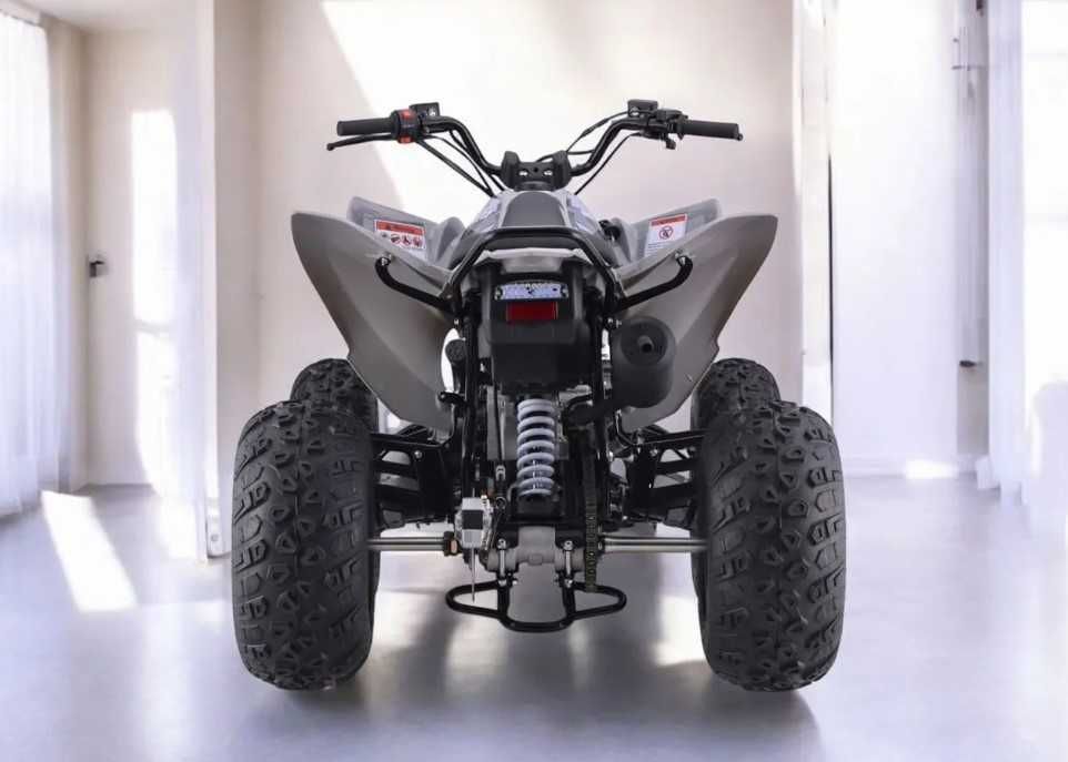 Квадроцикл Sharmax Raizer Race Cup 250