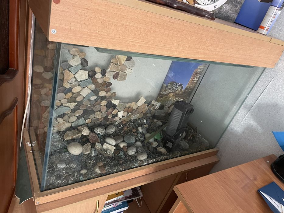 Аквариум продается