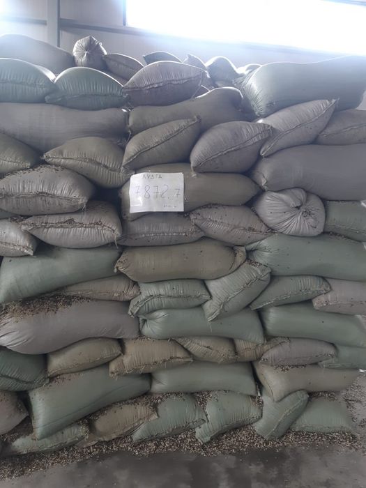 Лузга, жмых, масло кормовое (чернуха)