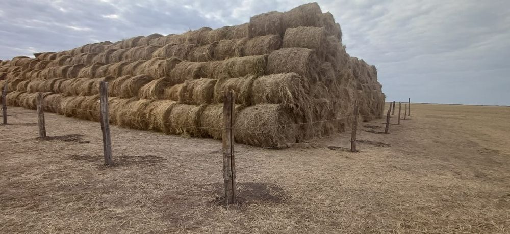 Продам сено 8500