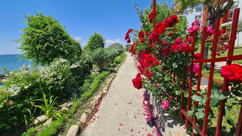 Дава се под наем Едностаен апартамент в Свети Влас - 42 кв.м за 200 € - Снимка #12