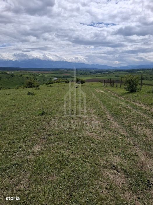 De vanzare, teren 11.500 mp – Dealul Dăii,  Vedere panoramică spre mun
