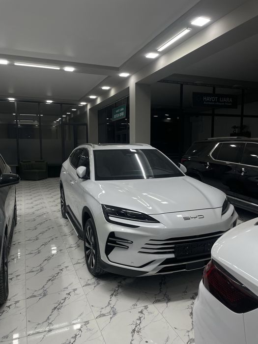 BYD Chempion 150 lik full