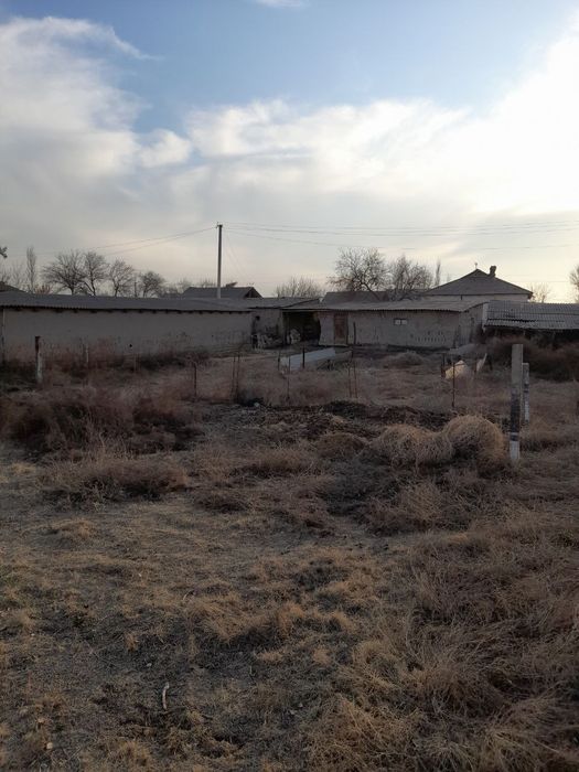 Sirdaryo viloyati Sirdaryo tumanida xovli sotiladi daryo boyida