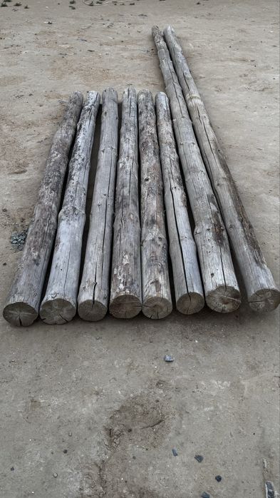 Томар, брус (кругляк) 10-12 лік сатылады