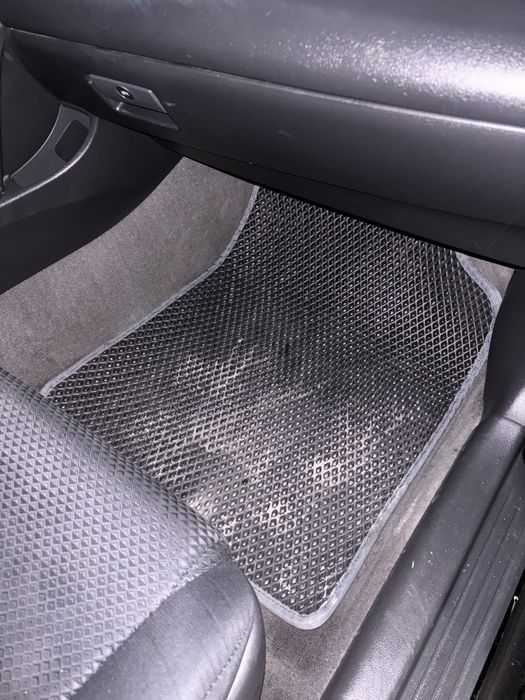 Eva полики нормальном состоянии