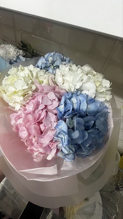 Гулдер сатылады таза жаңа