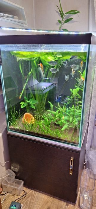 Продам аквариум 250л