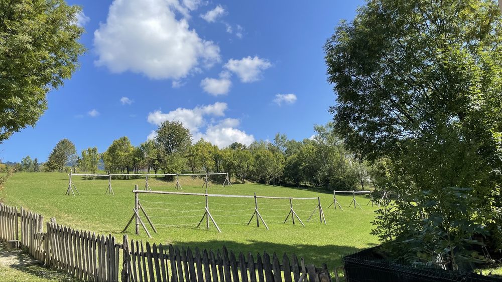 Teren intravilan Borșa MM (Poiana)