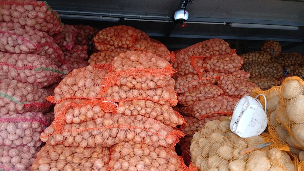 Cartofi animale 074[060]45[98)