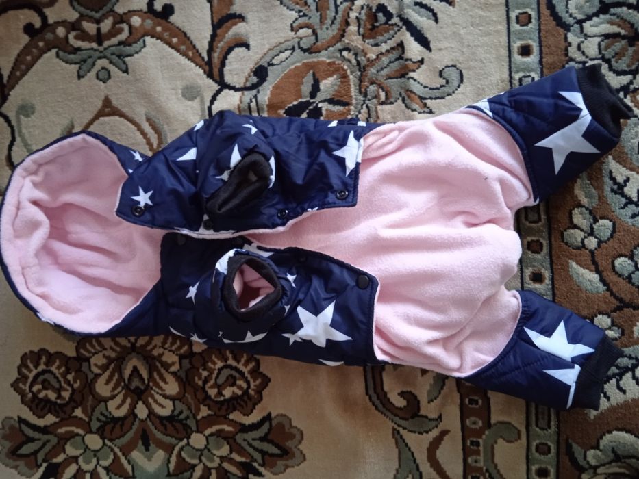 Одежда для собак