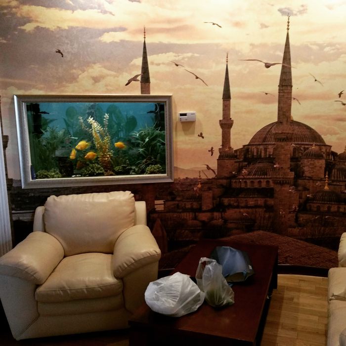 Обслуживание аквариумов