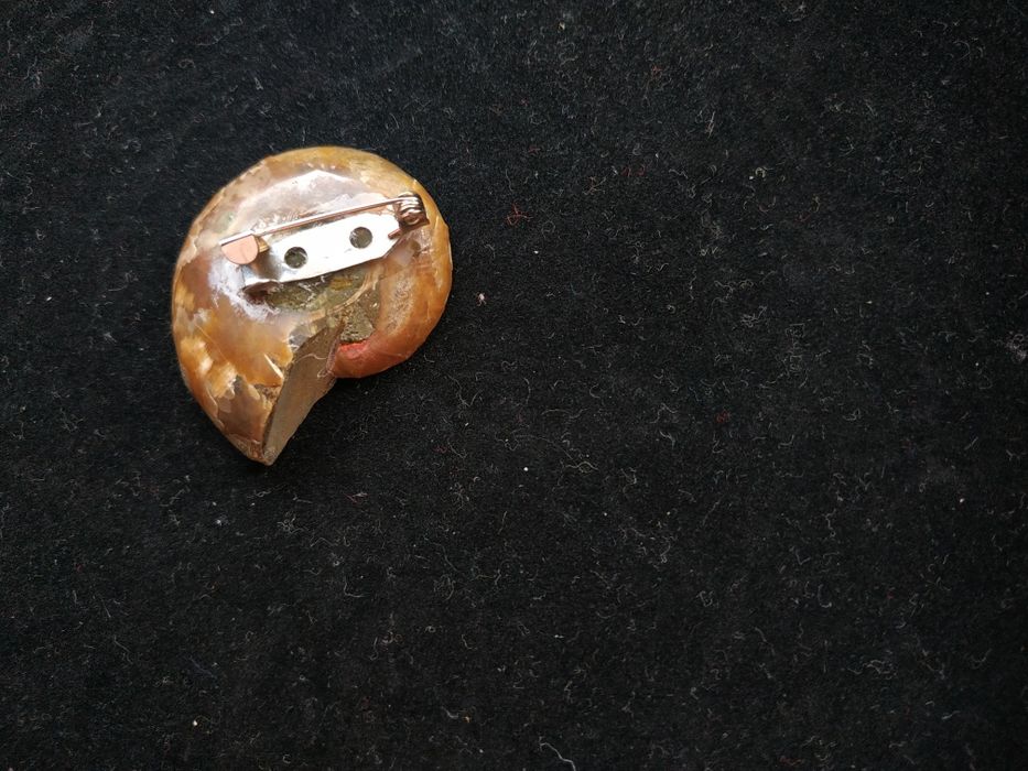 Брошка от естествен амонит-фосил, произход Мадагаскар