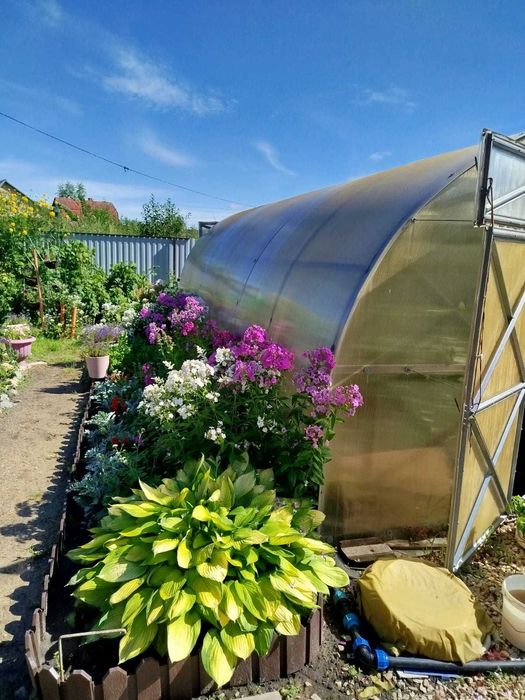 продам дачу с/о Борки