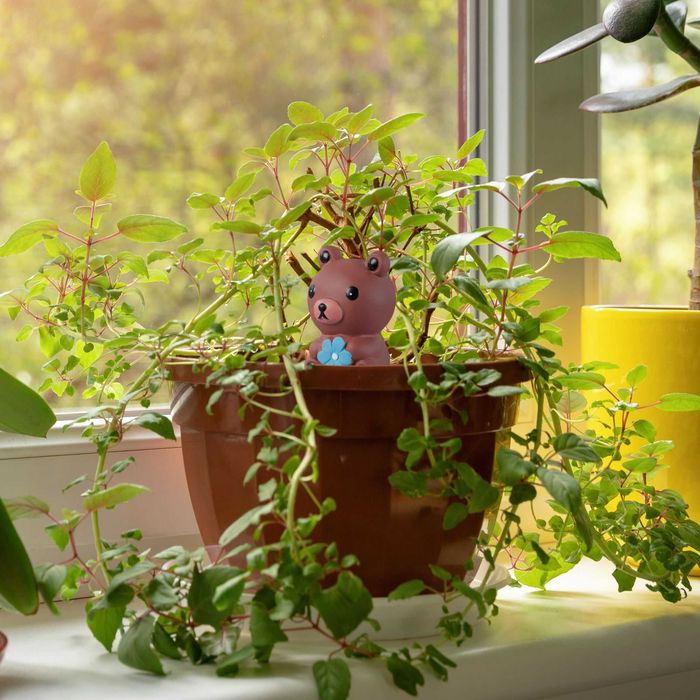 Set 4 conuri udare in forma de ursulet sistem automat ceramica 100 ml