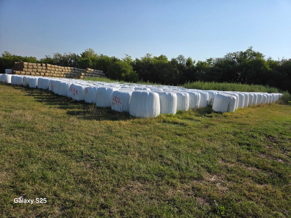 Сенаж от люцерна, както и смесен сенаж -ечемик,тритикали и ръж